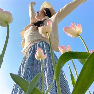 蝶恋花